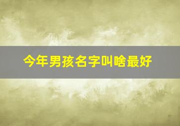 今年男孩名字叫啥最好