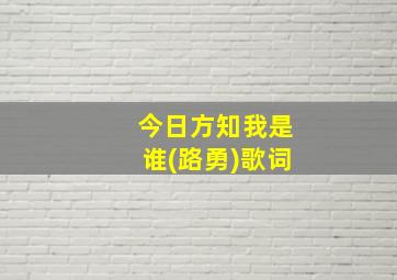 今日方知我是谁(路勇)歌词