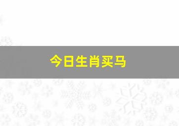 今日生肖买马