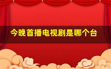 今晚首播电视剧是哪个台