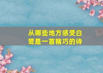 从哪些地方感受白鹭是一首精巧的诗