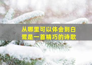 从哪里可以体会到白鹭是一首精巧的诗歌