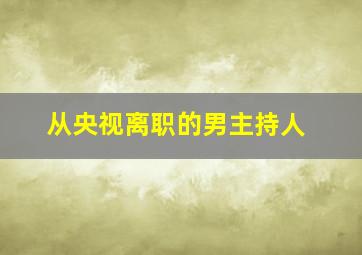 从央视离职的男主持人