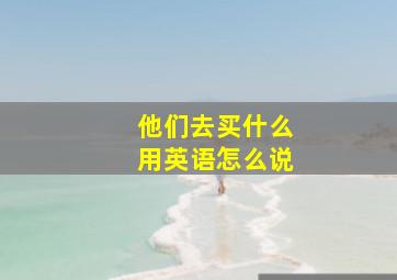 他们去买什么用英语怎么说