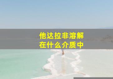 他达拉非溶解在什么介质中