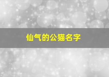 仙气的公猫名字