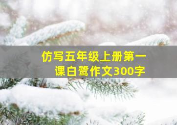 仿写五年级上册第一课白鹭作文300字