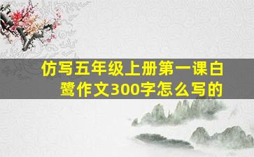 仿写五年级上册第一课白鹭作文300字怎么写的