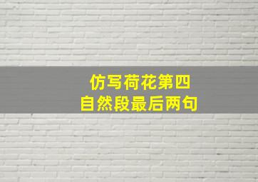 仿写荷花第四自然段最后两句