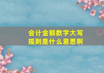 会计金额数字大写规则是什么意思啊