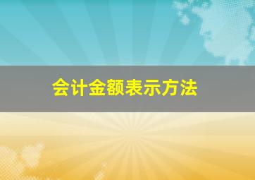 会计金额表示方法