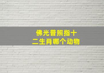 佛光普照指十二生肖哪个动物