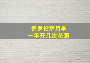 佛罗伦萨月季一年开几次花啊