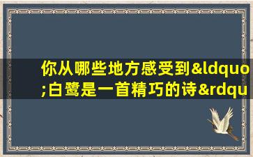 你从哪些地方感受到“白鹭是一首精巧的诗”