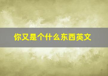 你又是个什么东西英文