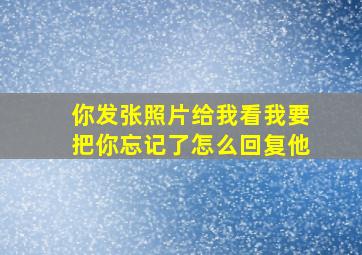 你发张照片给我看我要把你忘记了怎么回复他