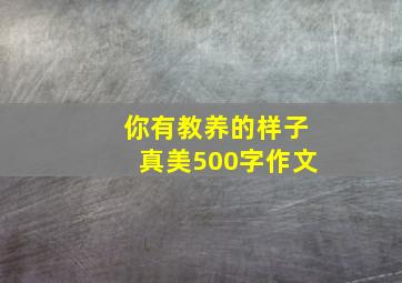 你有教养的样子真美500字作文