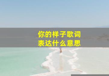 你的样子歌词表达什么意思