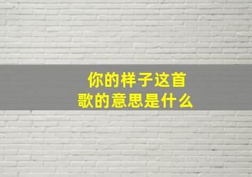 你的样子这首歌的意思是什么