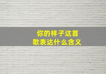 你的样子这首歌表达什么含义