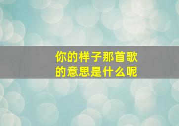 你的样子那首歌的意思是什么呢