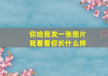 你给我发一张图片我看看你长什么样