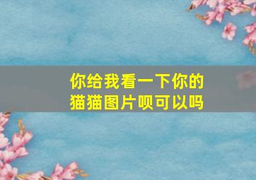 你给我看一下你的猫猫图片呗可以吗