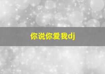 你说你爱我dj