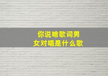 你说啥歌词男女对唱是什么歌