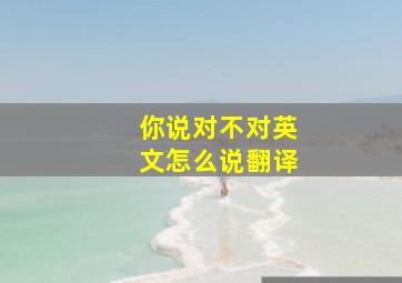 你说对不对英文怎么说翻译