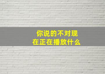 你说的不对现在正在播放什么