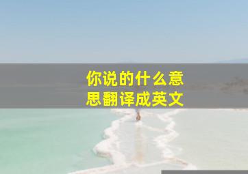 你说的什么意思翻译成英文