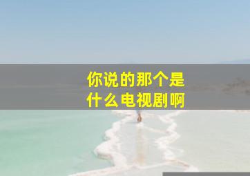 你说的那个是什么电视剧啊