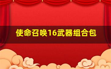 使命召唤16武器组合包