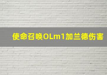 使命召唤OLm1加兰德伤害