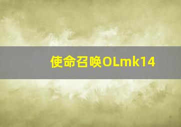 使命召唤OLmk14