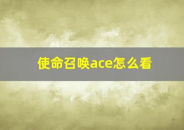 使命召唤ace怎么看