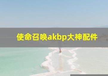 使命召唤akbp大神配件