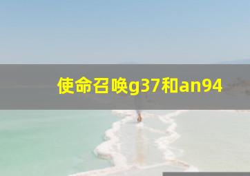 使命召唤g37和an94