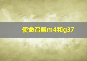 使命召唤m4和g37