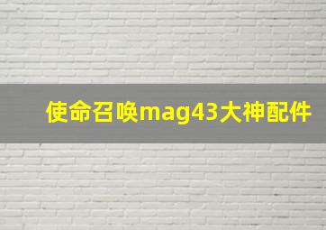 使命召唤mag43大神配件