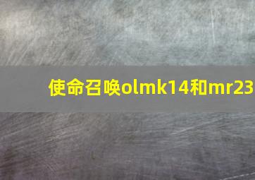 使命召唤olmk14和mr23