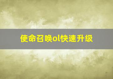 使命召唤ol快速升级