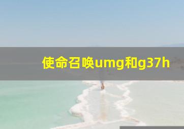 使命召唤umg和g37h