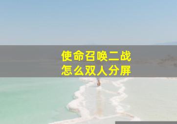 使命召唤二战怎么双人分屏