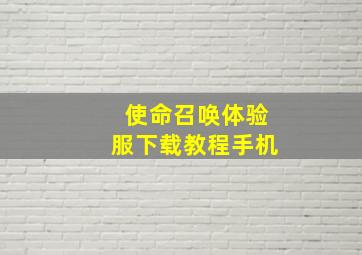 使命召唤体验服下载教程手机