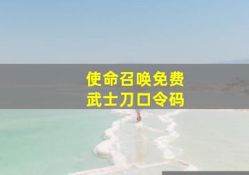 使命召唤免费武士刀口令码