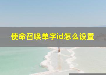 使命召唤单字id怎么设置