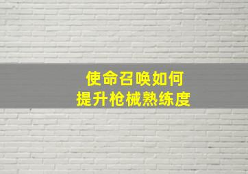 使命召唤如何提升枪械熟练度