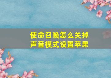 使命召唤怎么关掉声音模式设置苹果